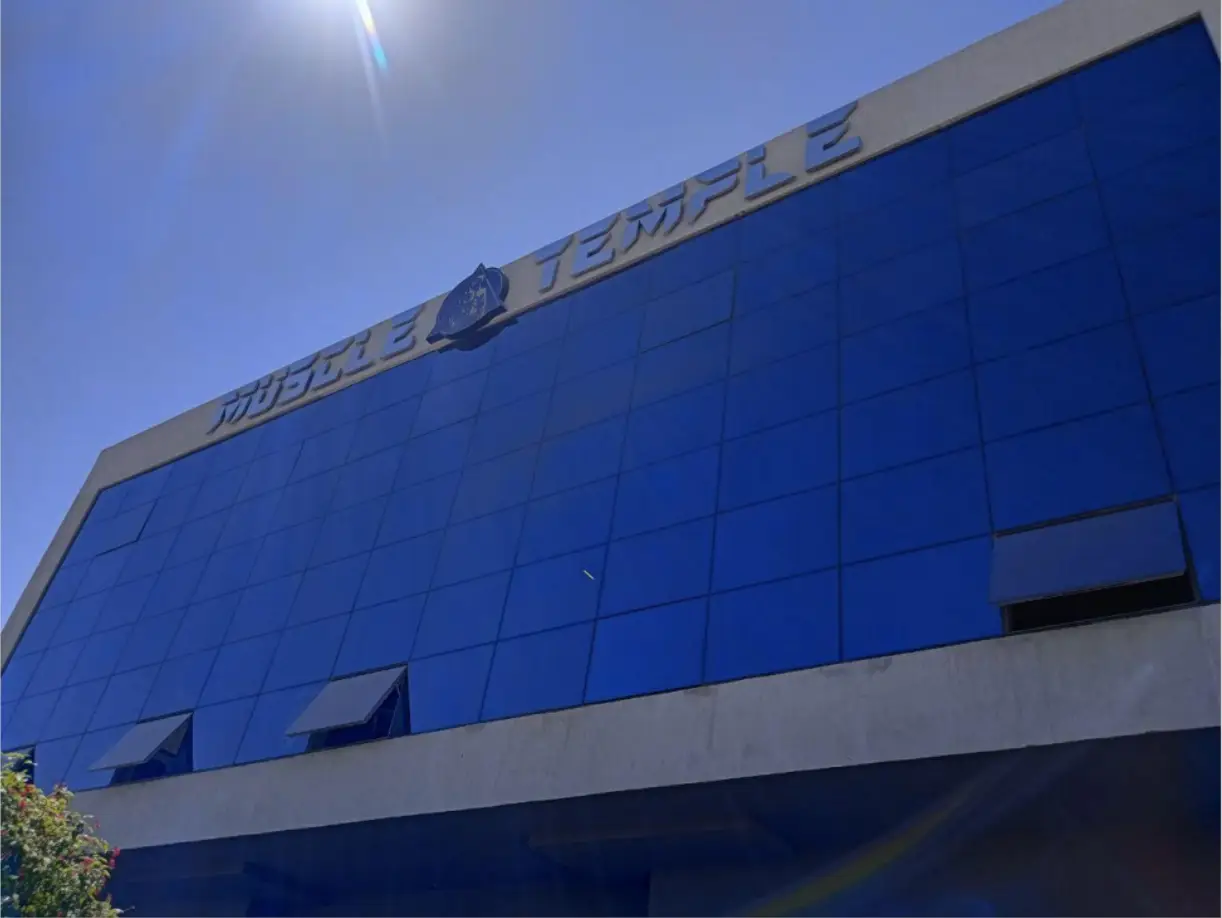 Muscle Temple Gym – STREET 31MISR ITALIA MALL – ELSHOROUK